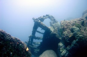Diving the Wreck Graveyard