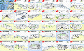 Dive Sites