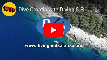 Diving & Safaris